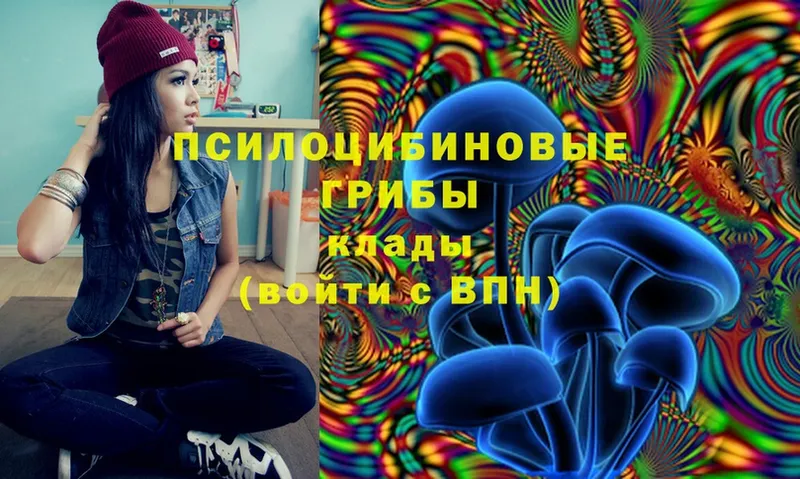 Галлюциногенные грибы Cubensis Тихвин